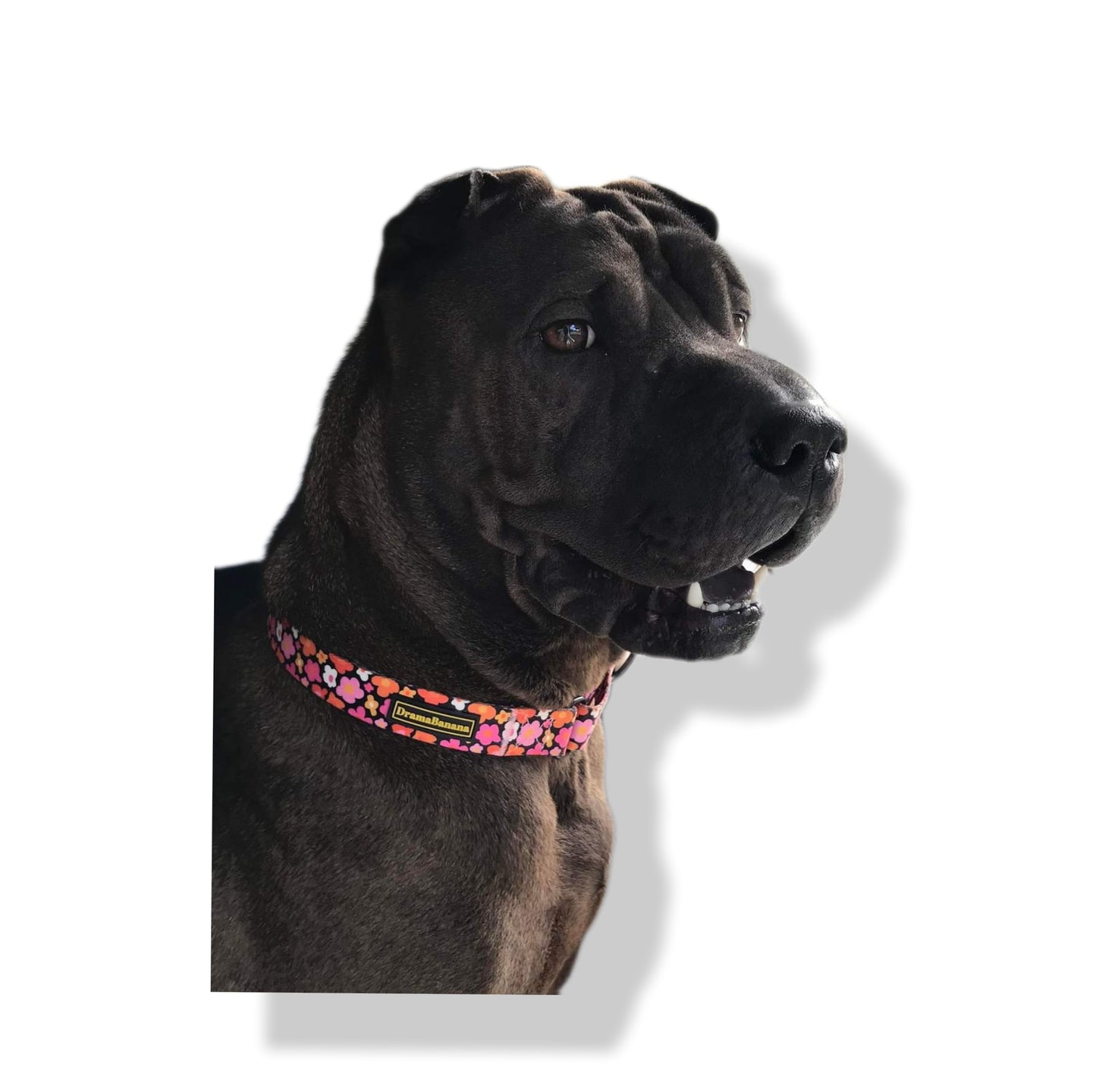 Dramabanana Clip Collar/ collier à Clip Black Flowers