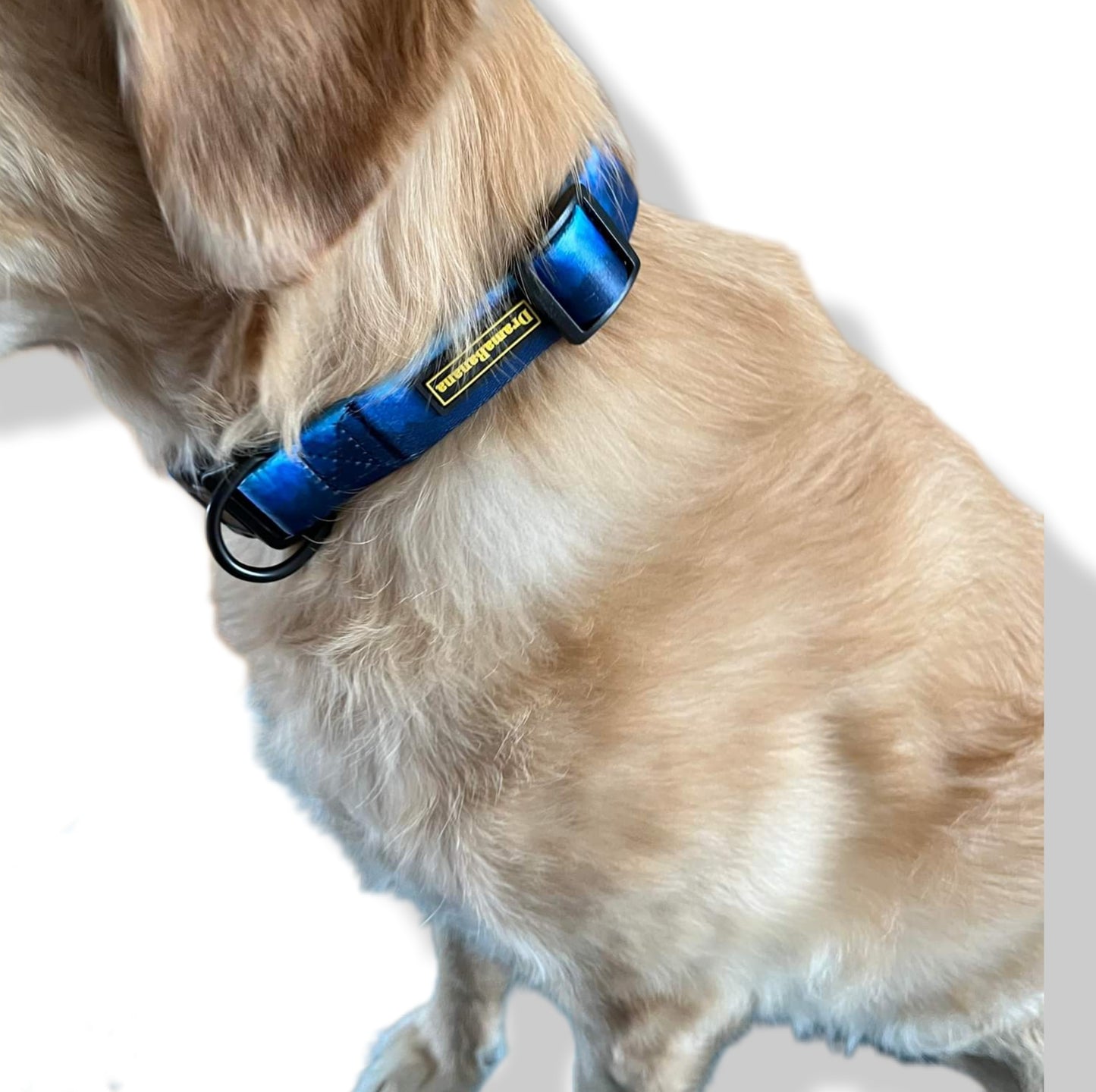 Dramabanana Clip Collar/ collier à Clip Graded Blue