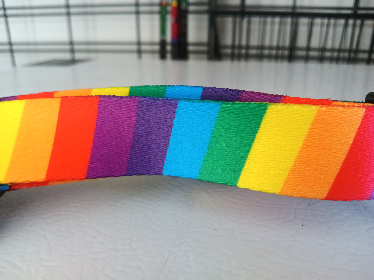 Dramabanana 6 foot Rainbow Leash /Laisse Rainbow de 6 pieds