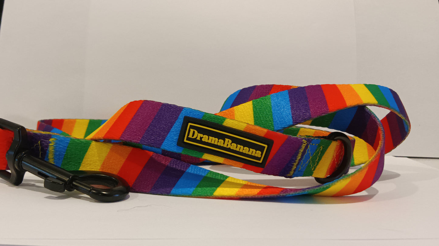 Dramabanana 6 foot Rainbow Leash /Laisse Rainbow de 6 pieds